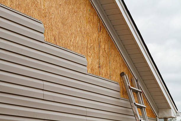 Professional Siding Contractor technician working in Adamsville, TN